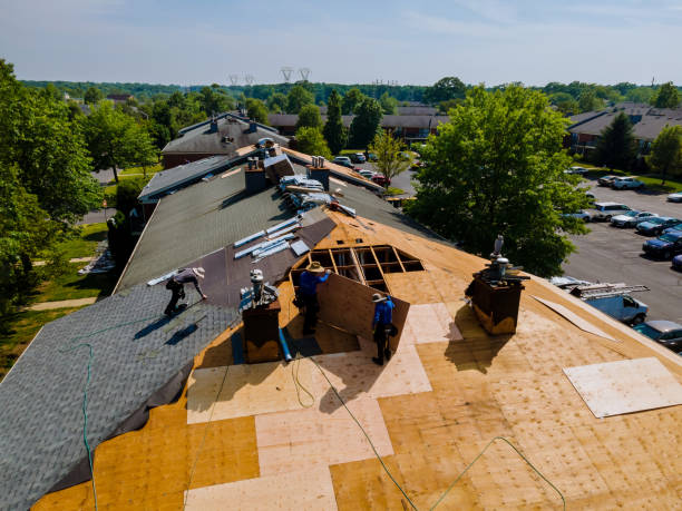 Trusted Roof Inspection service in Springdale, NC - Brentwood Metal Roofing